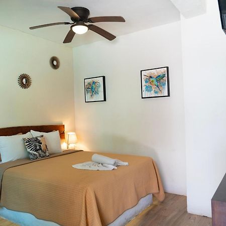 Hotel Diosa Del Agua 바칼라르 외부 사진
